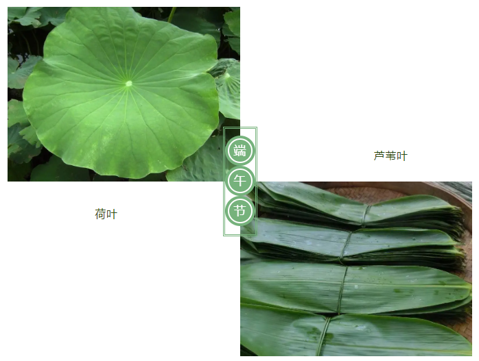 东升国际医纺