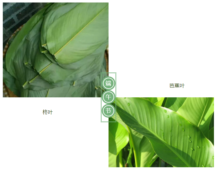 东升国际医纺