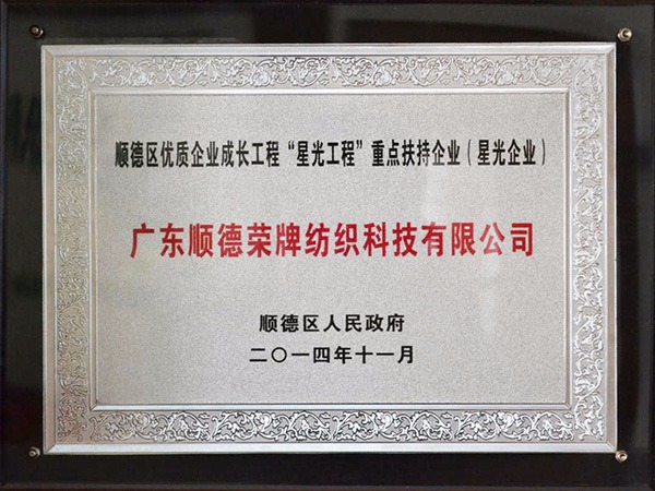 东升国际-2012年获顺德政府颁发“星光企业”称号